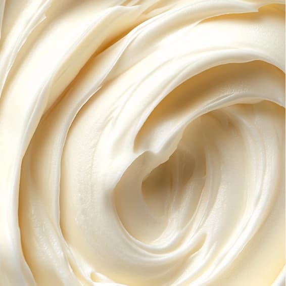 Body and Face Membership at Relaxation Zone in Charlotte, NC